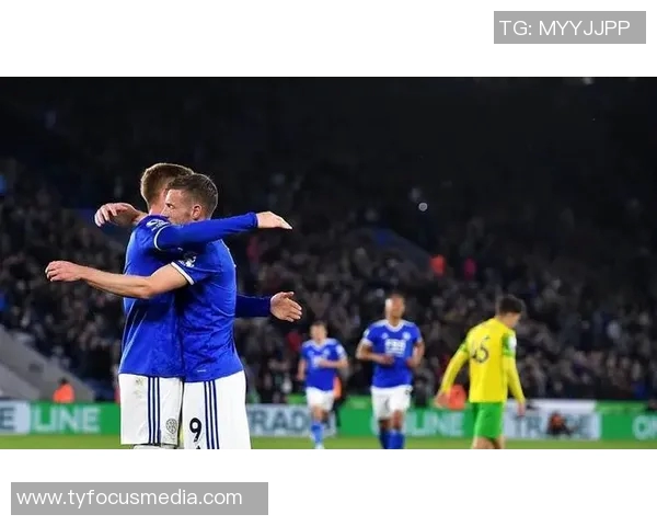 布莱顿与伯恩利精彩对决瞬间回顾及赛场氛围图集